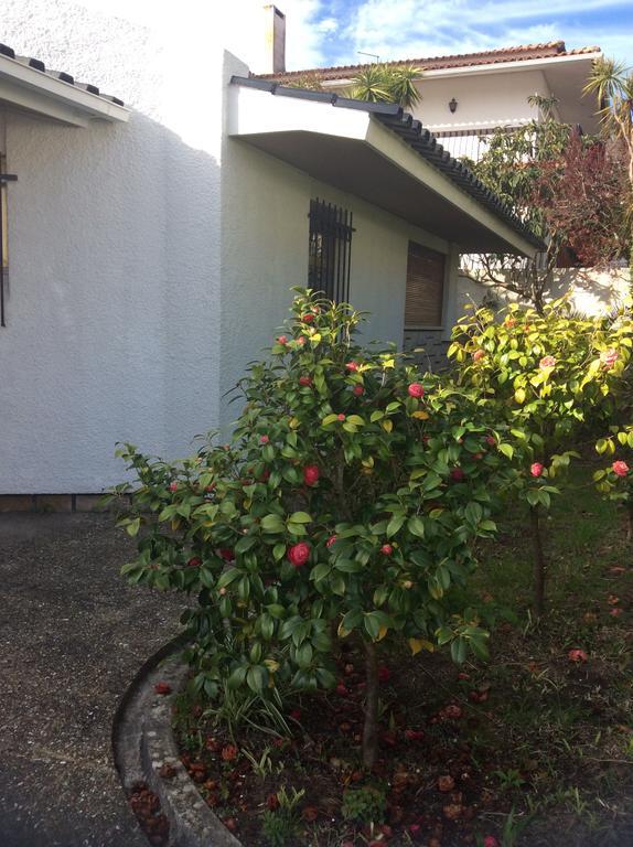 Vila Casa Dos Oliva Alcobaça Exteriér fotografie